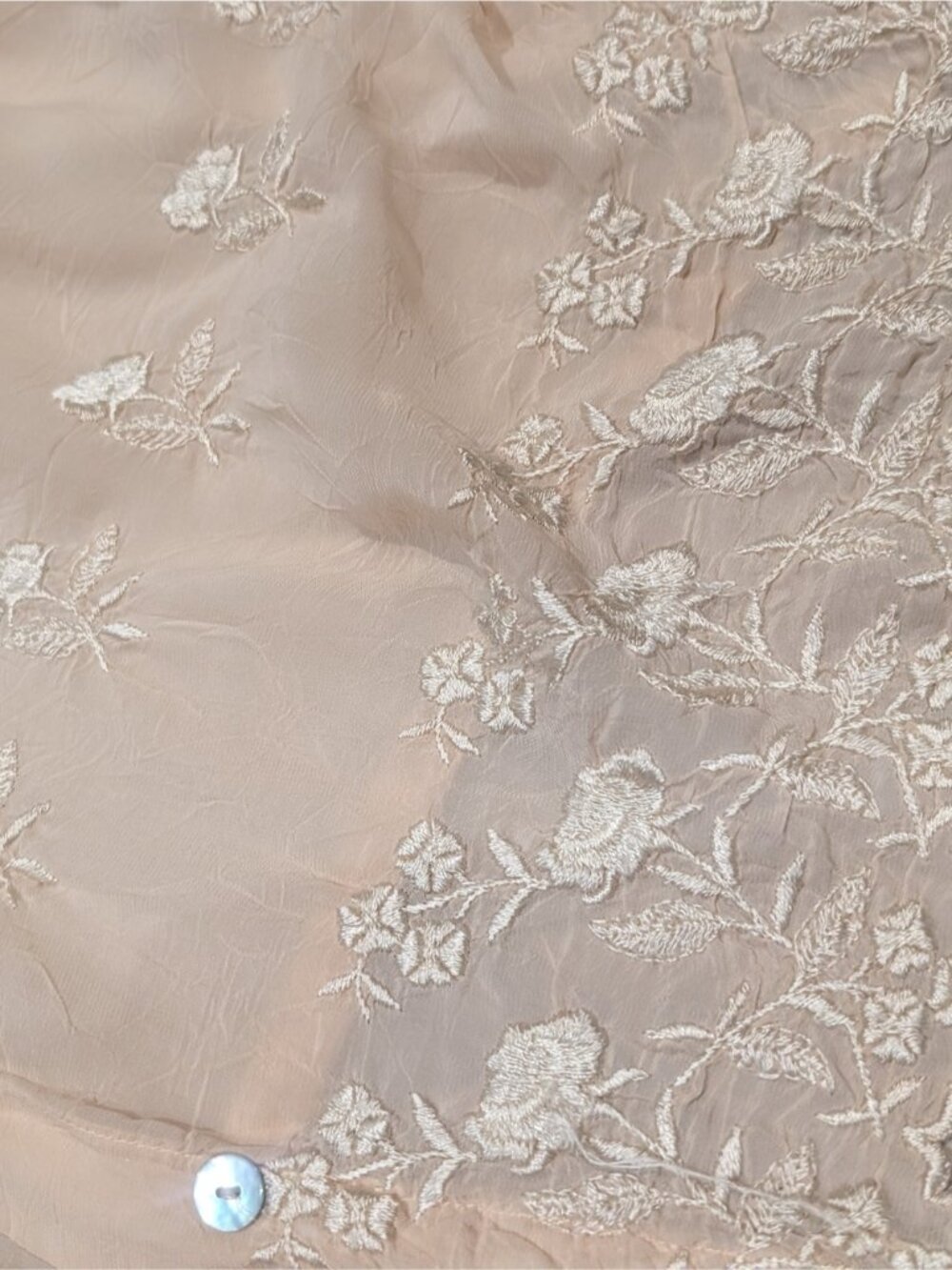 Vintage Sheer Embroidered Button-Front Blouse in Beige - Picture 9 of 10